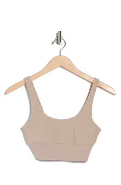 Beach Riot Leah Crop Sports Bra In Taupe