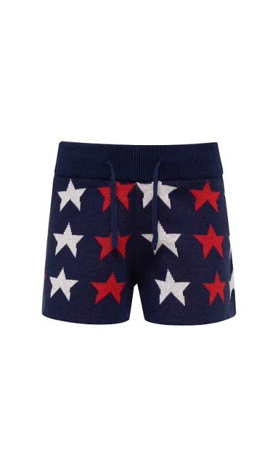 Beach Riot Callie Star Oversized Crew-neck Sweater In Blue