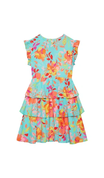 Beach Riot Little Honey Dress In Multi