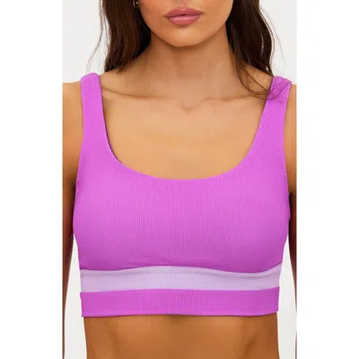 Beach Riot Mackenzine Colorblock Bikini Top In Purple