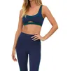 Beach Riot Moxie Sports Bra In Wintergreen Colorblock
