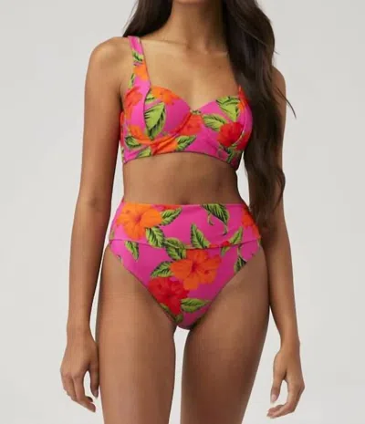 Beach Riot Paulina Swim Top In Hibiscus Sunset In Pink