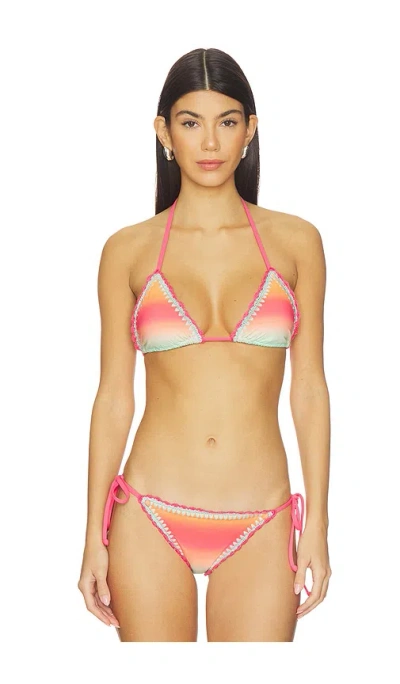 Beach Riot Winona Triangle Bikini Top In Animal Print