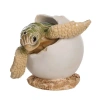 Beachcombers Baby Turtle In Shell Figurine In Multi