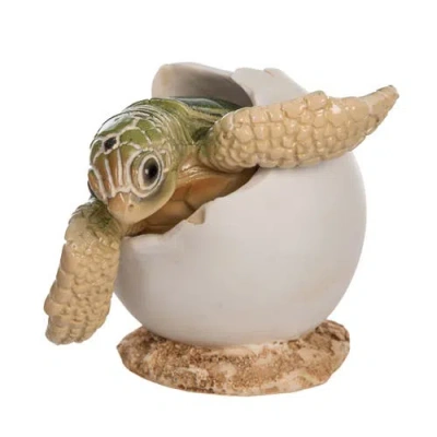 Beachcombers Baby Turtle In Shell Figurine In Multi