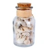 Beachcombers Bottle With White Shells In Brown