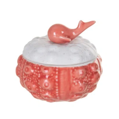 Beachcombers Coral & Bisque Urchin Whale Treasure Box In Red