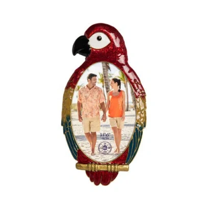 Beachcombers Rainbow Macaw Bird 3.5x5 Photo Picture Frame In Red