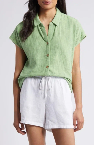 Beachlunchlounge Amar Cotton Button-up Shirt In Green