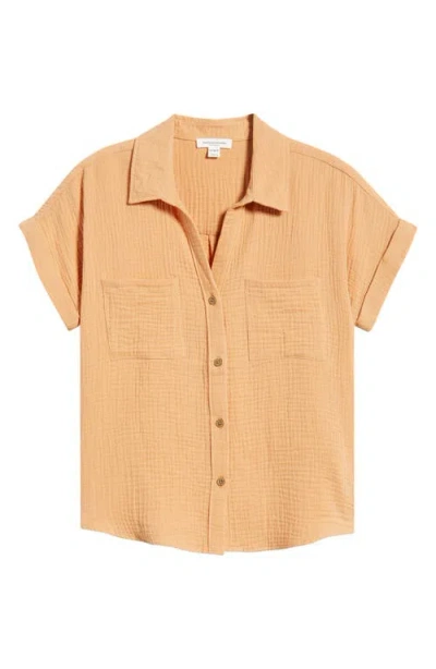 Beachlunchlounge Chicago Gauze Shirt In Brown