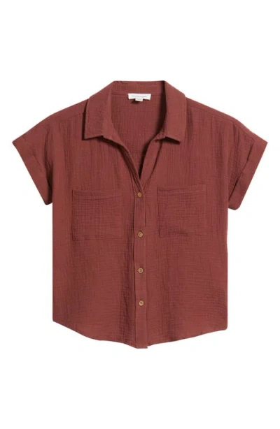 Beachlunchlounge Chicago Gauze Shirt In Brown
