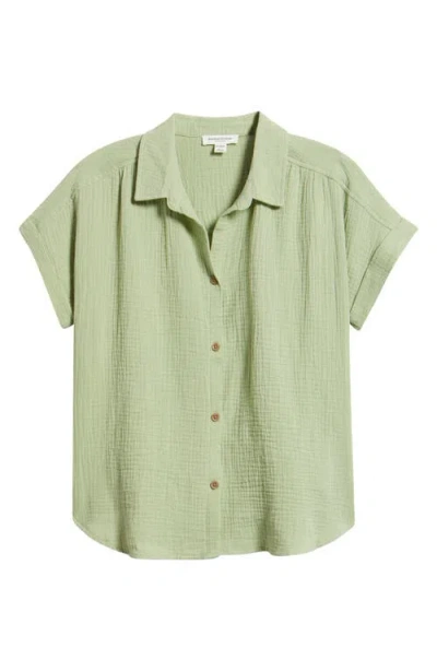 Beachlunchlounge Devin Gauze Shirt In Green