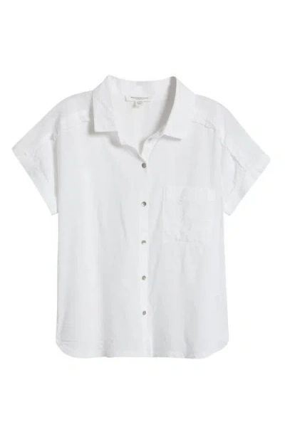 Beachlunchlounge Lane Dolman Sleeve Shirt In White