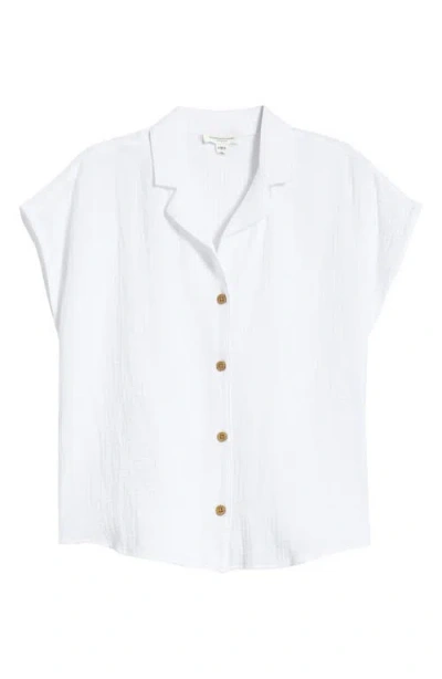 Beachlunchlounge Lexi Gauze Top In Black
