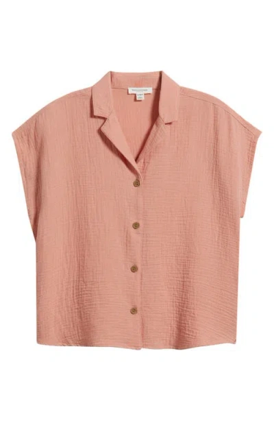 Beachlunchlounge Lexi Gauze Top In Brown
