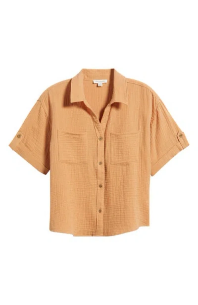 Beachlunchlounge River Gauze Shirt In Brown