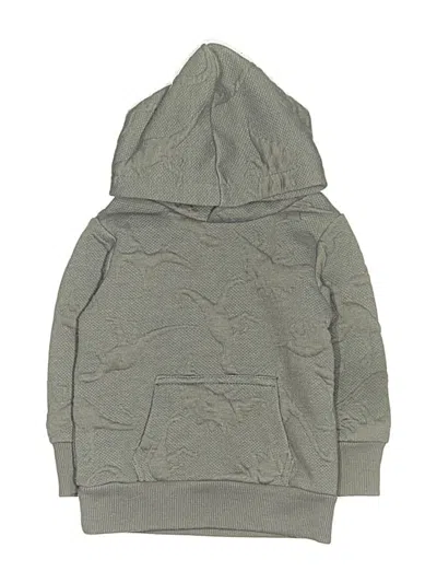 Pre-owned Bear Camp Kids' Pullover Hoodie In Gray