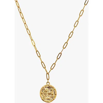 Bearfruit Jewelry 14k Gold Plated Constellation Chain Necklace 12 Zodiac Signs Gift Guide