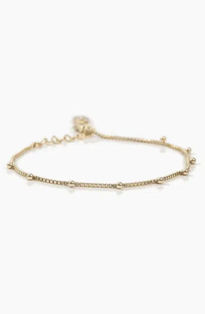 Bearfruit Jewelry Emery Dainty Slim Chain Bracelet Minimalist Everyday Jewelry In Gold