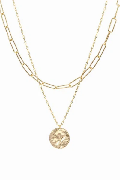 Bearfruit Jewelry Roth Layered Medallion Necklace In Gold