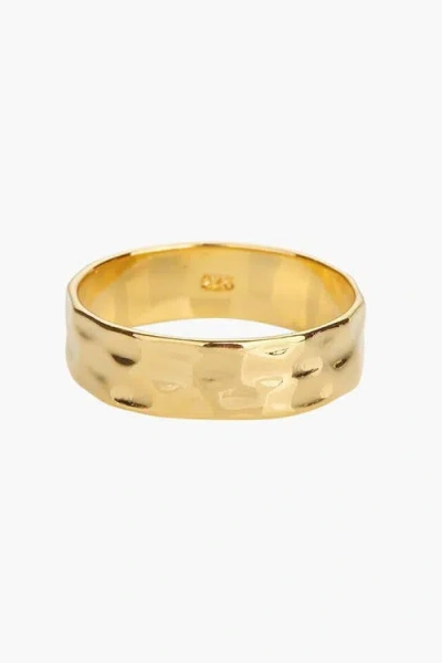 Bearfruit Jewelry Sterling Silver 18k Gold Plated Fiona Thin Hammered Band Ring