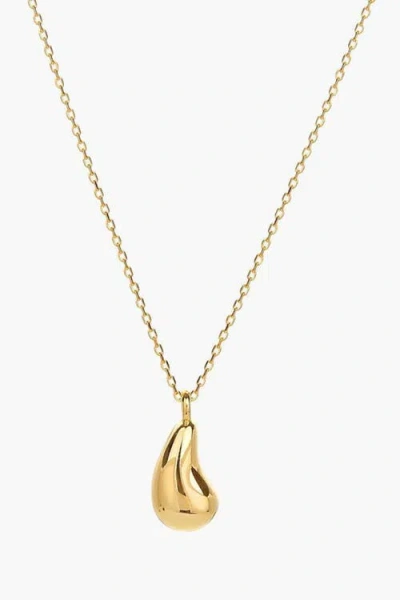 Bearfruit Jewelry Sterling Silver 18k Gold Plated Jacqueline Teardrop Necklace