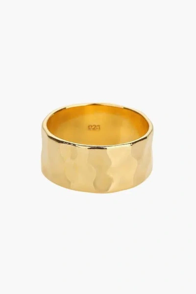 Bearfruit Jewelry Sterling Silver 18k Gold Plated Skye Hammered Band Ring