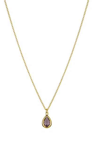 Bearfruit Jewelry Teardrop Birthstone Necklace Dainty Personalized Gemstone Gift In Multi
