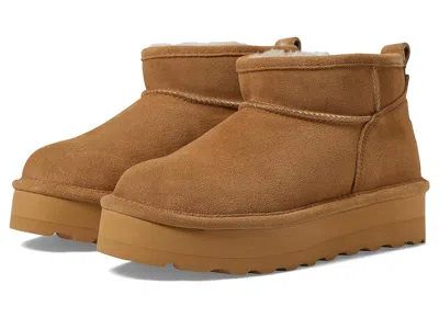 Bearpaw Retro Shorty In Brown