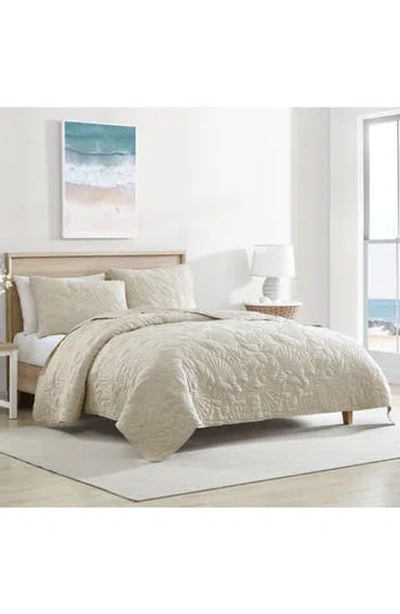 Beatrice Home Fashions Caribbean Joe Solid Outlined Shell Quilt Set