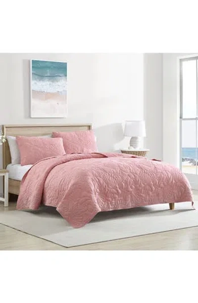 Beatrice Home Fashions Caribbean Joe Solid Outlined Shell Quilt Set