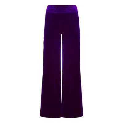 Beatrice Von Tresckow Women's Pink / Purple Purple Velvet Wide Flare Trousers In Pink/purple