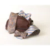 Beau Ties Of Vermont Cioccolato Bow Tie