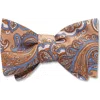 Beau Ties Of Vermont Cioccolato Bow Tie