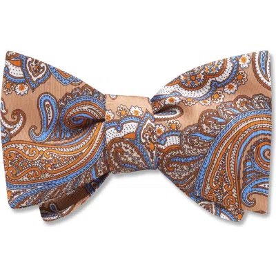 Beau Ties Of Vermont Cioccolato Bow Tie