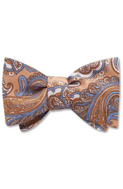 Beau Ties Of Vermont Cioccolato Bow Tie