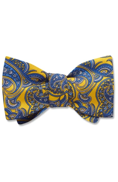 Beau Ties Of Vermont Eliora Bow Tie