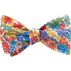 Beau Ties Of Vermont Hammond Bow Tie