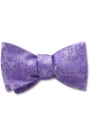 Beau Ties Of Vermont Pachelbel Bow Tie In Blue