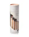Beautifect Professional Brush Collection - Matte Gold