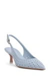 Beautiisoles Flynn Slingback Pointed Toe Pump In Sky Blue
