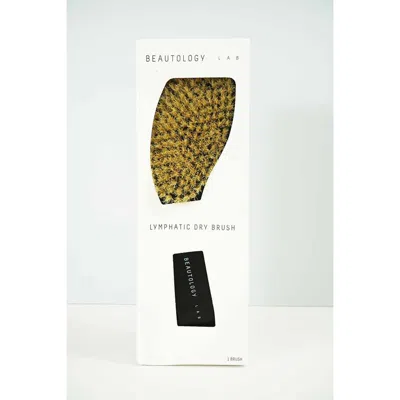 Beautology Lab Lymphatic Dry Brush In Black