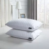 Beautyrest 500tc Damask Cotton 2 Pack Medium Density Bed Pillow In White