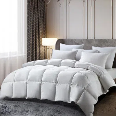 Beautyrest All Season Down And Feather Comforter - All Seasons In White