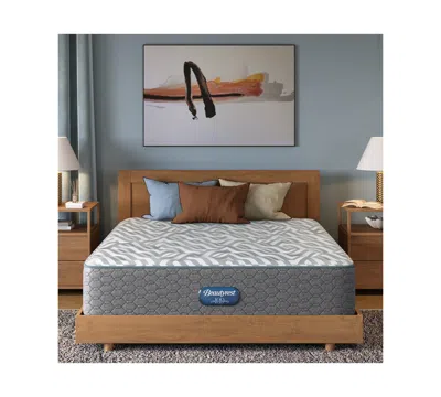 Beautyrest Anderson Avenue 13.75" Plush Tight Top Mattress, Twin In Gray