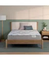 Beautyrest Beautysleep Dream Weaver 11.5" Firm Mattress Set In No Color