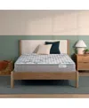 Beautyrest Beautysleep Dream Weaver 12.5" Firm Mattress In No Color