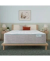 Beautyrest Beautysleep Bashful Lullaby 13.75 Plush Tight Top Mattress Collection In Gray