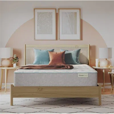 Beautyrest Beautysleep Slumberscape Plush Quilted 13.75" Mattress