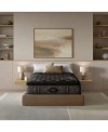 Beautyrest Black Series One 14.5 Plush Pillowtop Mattress Collection